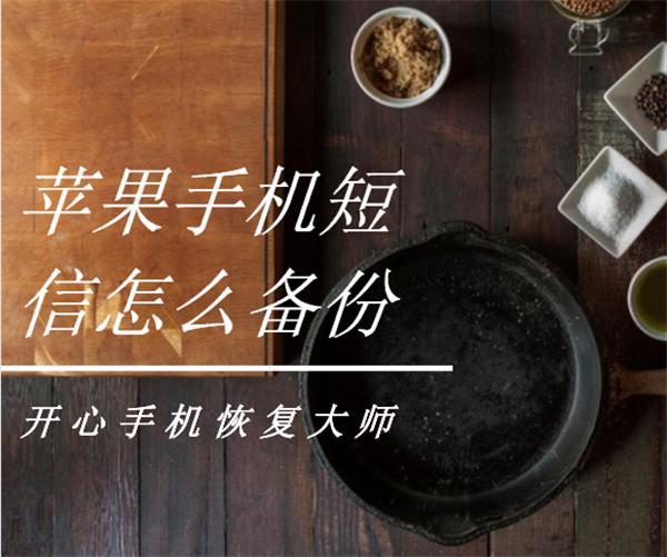 蘋果手機短信怎么備份，iPhone短信導出教程演示