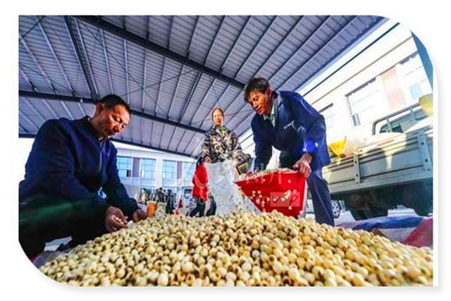 目前在鄉鎮創業，適合做哪些項目？這幾個可以