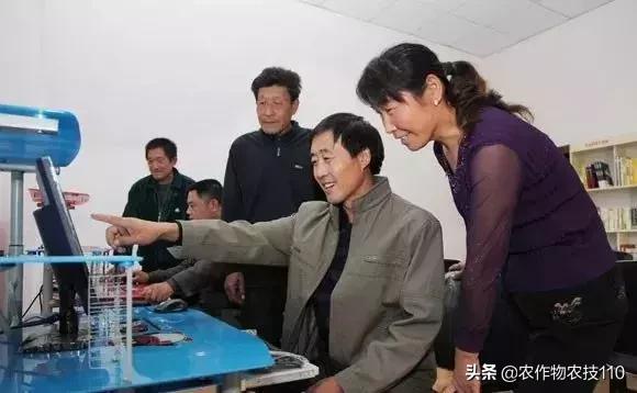 農村這9個創業項目，本錢少，有“錢途”，你鐘意哪一個？