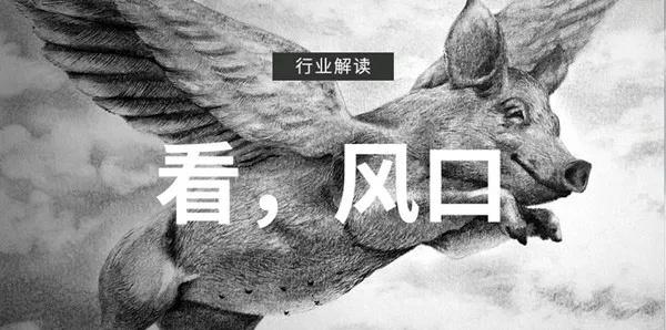 小程序開發者：為什么要做小程序？