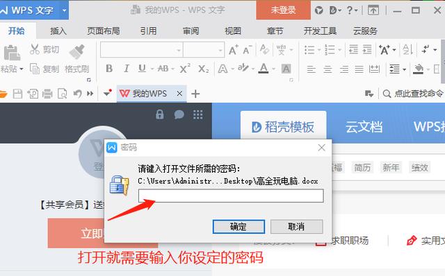 WPS Office 文檔加密方法