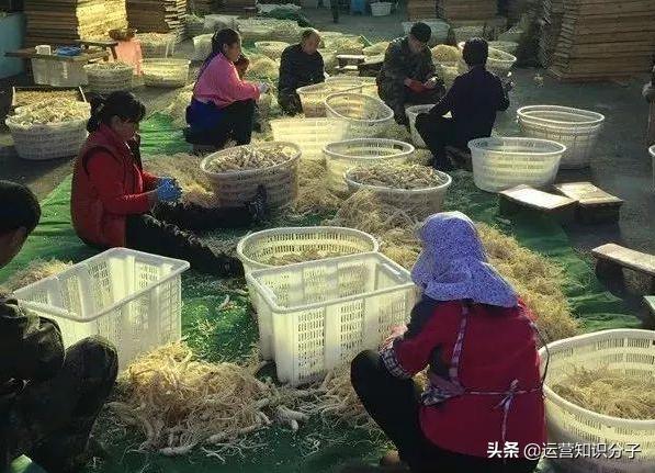 淘寶賣家的故事：三十而立的他，為了夢想放棄鐵飯碗在淘寶創業