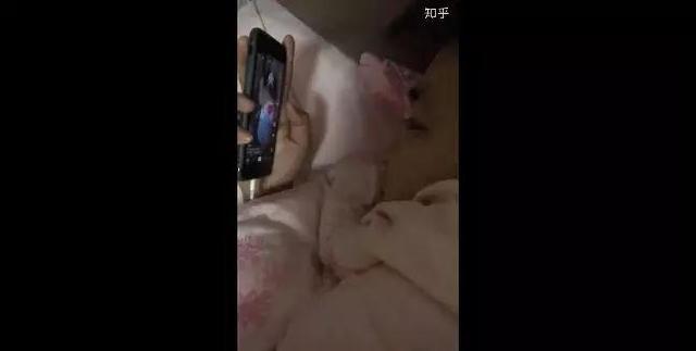 17種抖音套路，教你預測怎么拍會火