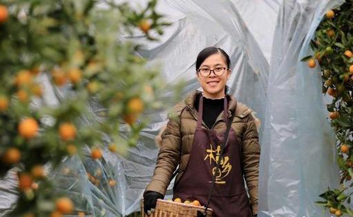 不想打工想創業？這5個項目可以試試！成本低利潤高