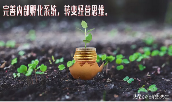 如何操作才能正確進行品牌推廣