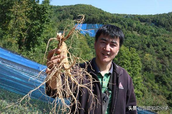 淘寶賣家的故事：三十而立的他，為了夢想放棄鐵飯碗在淘寶創業