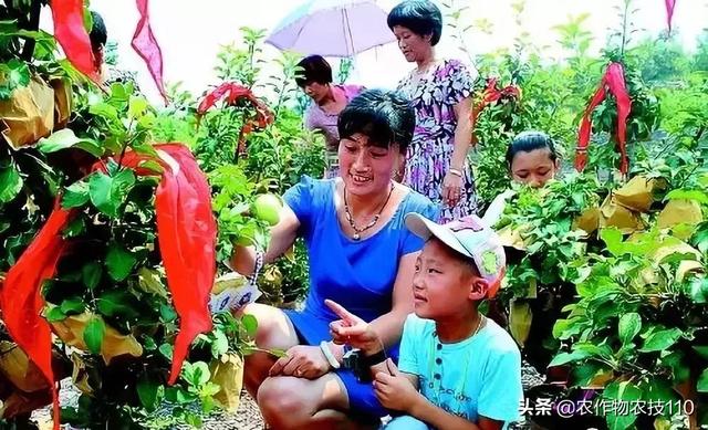 農村這9個創業項目，本錢少，有“錢途”，你鐘意哪一個？