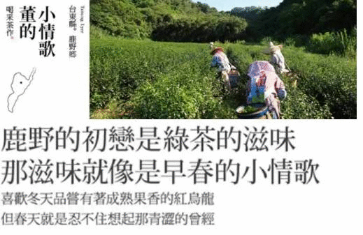 品牌營銷｜如何做一份可執行的品牌營銷策劃方案？