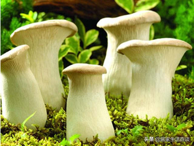 返鄉創業不知道干啥好？這8個農村創業好點子，個個都賺錢！