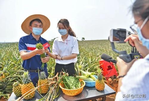 適合農民百姓創業的7個小本項目，做起來，收入呈正增長
