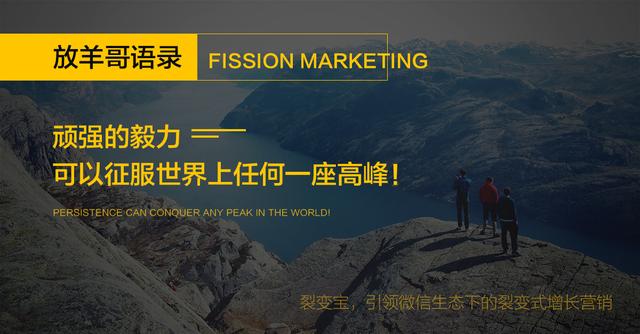 裂變盈利思維：11個營銷案例，引發思考，看懂了受用終生