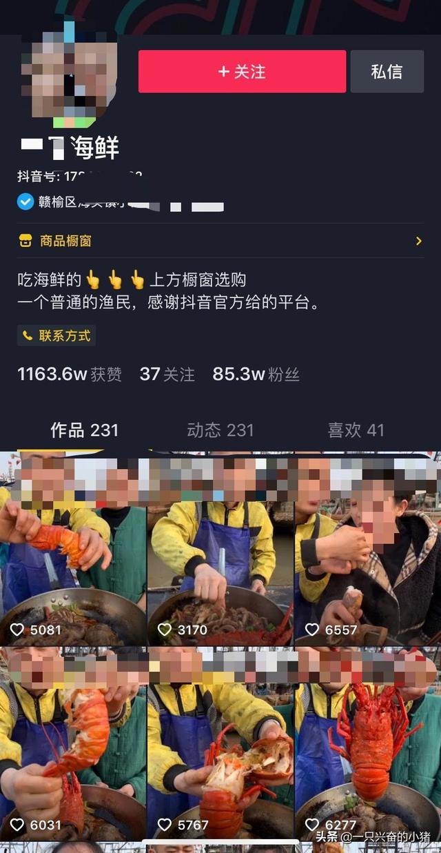 2020抖音直播賺錢實戰，看完直接照做