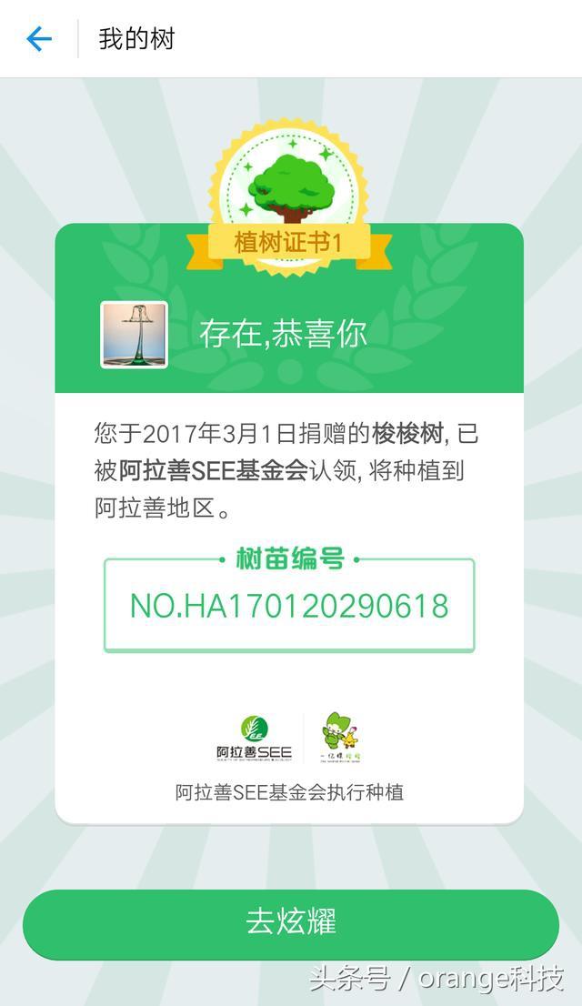 支付寶“螞蟻森林”真的會在沙漠種樹？來看看你的樹種在了哪里！