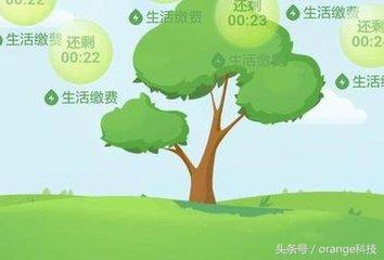 支付寶“螞蟻森林”真的會在沙漠種樹？來看看你的樹種在了哪里！
