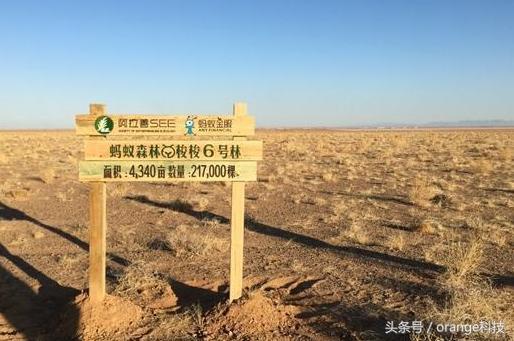 支付寶“螞蟻森林”真的會在沙漠種樹？來看看你的樹種在了哪里！