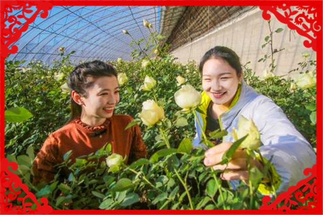 沒有外出打工的農村人，可以在家做哪些創業項目呢？這幾個