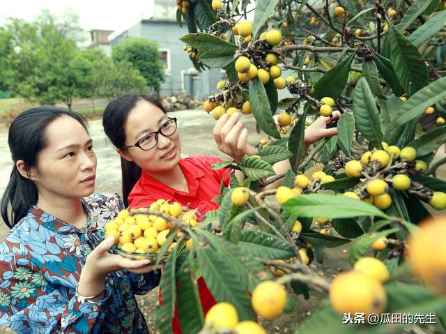 農民工返鄉可以做什么？農民工返鄉創業有哪些好項目？