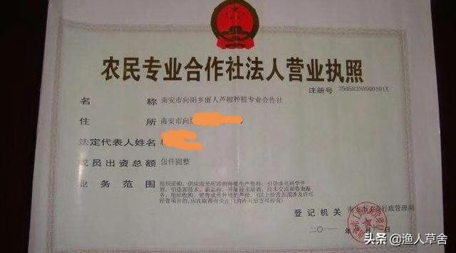 2020年農村創業如何致富？這五個農村創業項目值得推薦