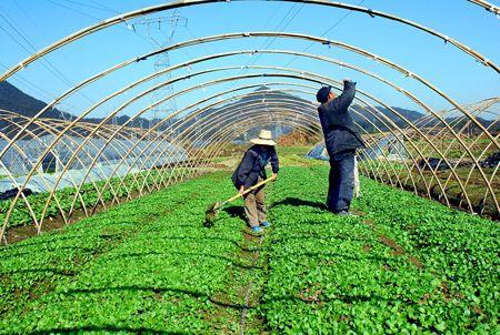來創業吧！最適合新手的10個低成本生意