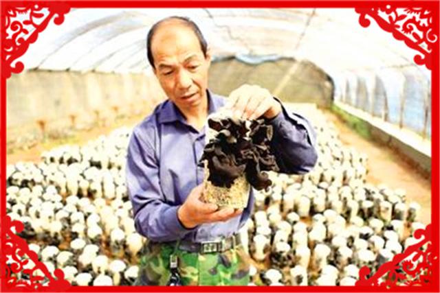 沒有外出打工的農村人，可以在家做哪些創業項目呢？這幾個