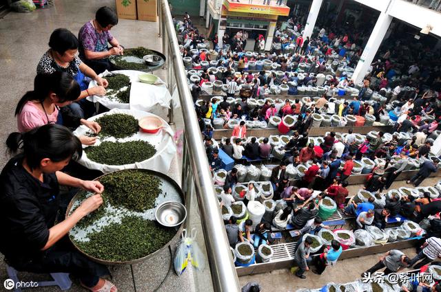 三種茶葉營銷模式中，后兩種值得學習，創新才能引領中國茶市場