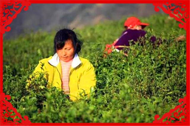 沒有外出打工的農村人，可以在家做哪些創業項目呢？這幾個