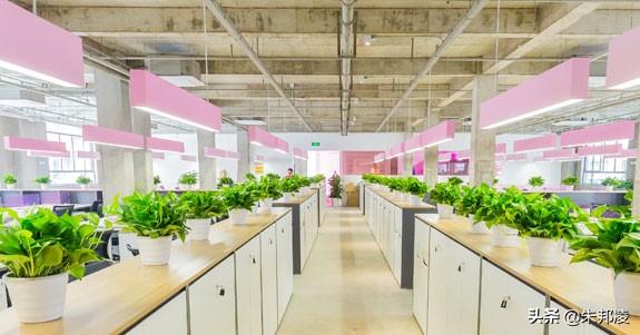 國內最大電商代運營公司上市！清華老師辭職創業，年賣貨36億