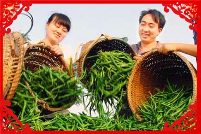 農村創業有什么好項目？投資少見效快的，我這里推薦幾個供參考