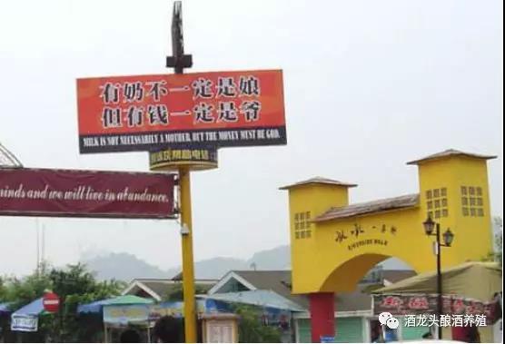 他花“一萬塊是如何創業的”
