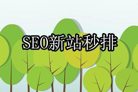 新站如何快速排名？進來看站內極致優化方案