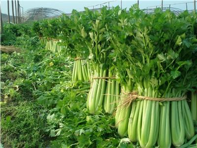 2018年農村創業致富七個好項目介紹