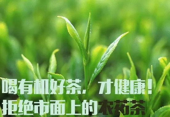 品牌營銷｜如何做一份可執行的品牌營銷策劃方案？