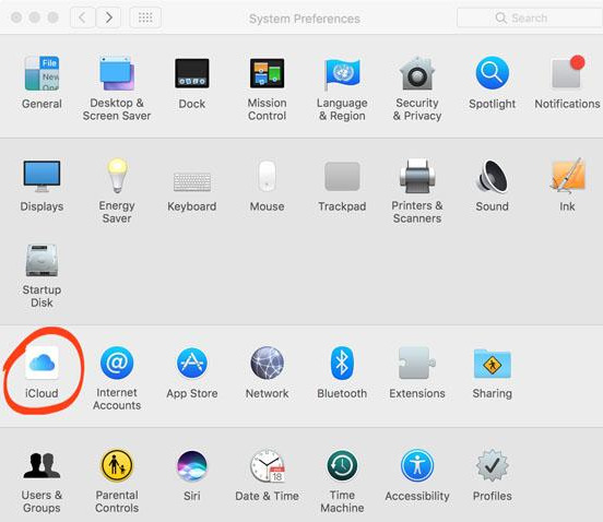 如何將照片從iPhone傳輸到Mac：終極指南