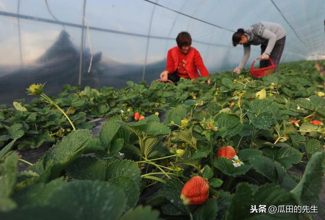 農民工返鄉可以做什么？農民工返鄉創業有哪些好項目？