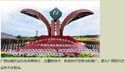 中國農技推廣的“廣西現象”