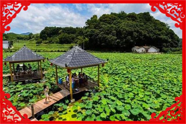 2020年的農村，有哪些新型創業小項目？推薦幾個供參考