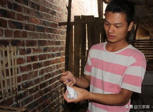 推薦9個在農村可以做的項目，發家致富不難，創業投資小回報率高