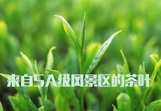 品牌營銷｜如何做一份可執行的品牌營銷策劃方案？