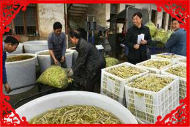 現在有哪些實體創業小項目，前景比較好的？推薦幾個供參考