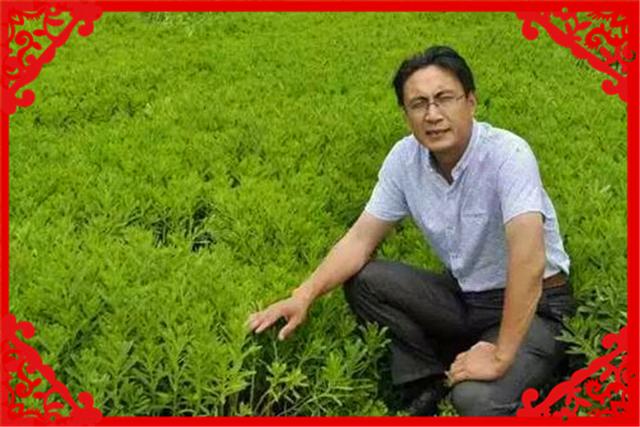 具備農村資源的創業者，今年可以在這幾方面謀求發展，推薦一下