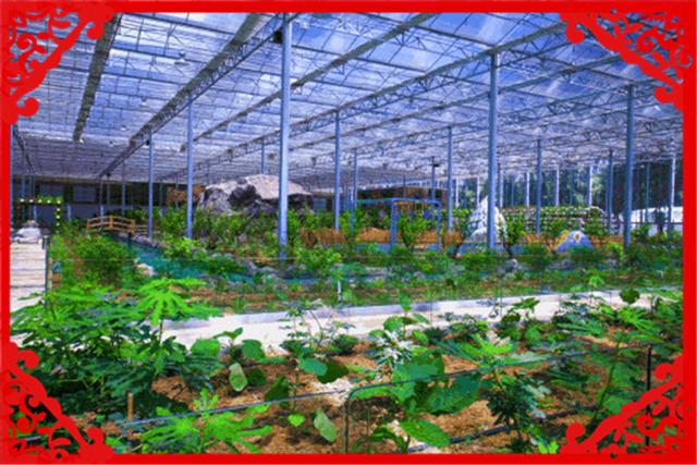 具備農村資源的創業者，今年可以在這幾方面謀求發展，推薦一下