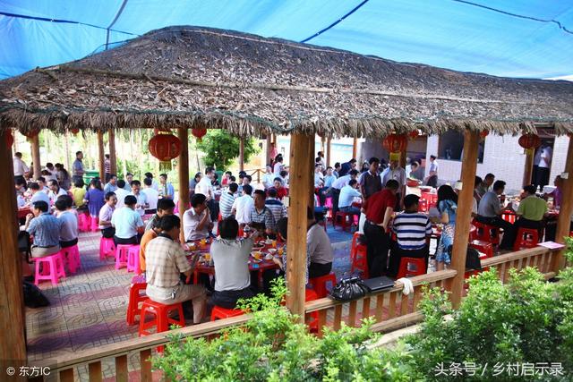 農村創業難？看了下面5個農村創業方法，農民偷偷笑了