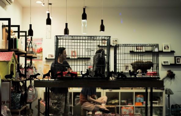 最新整理的15個適合女性開店創業的好項目推薦