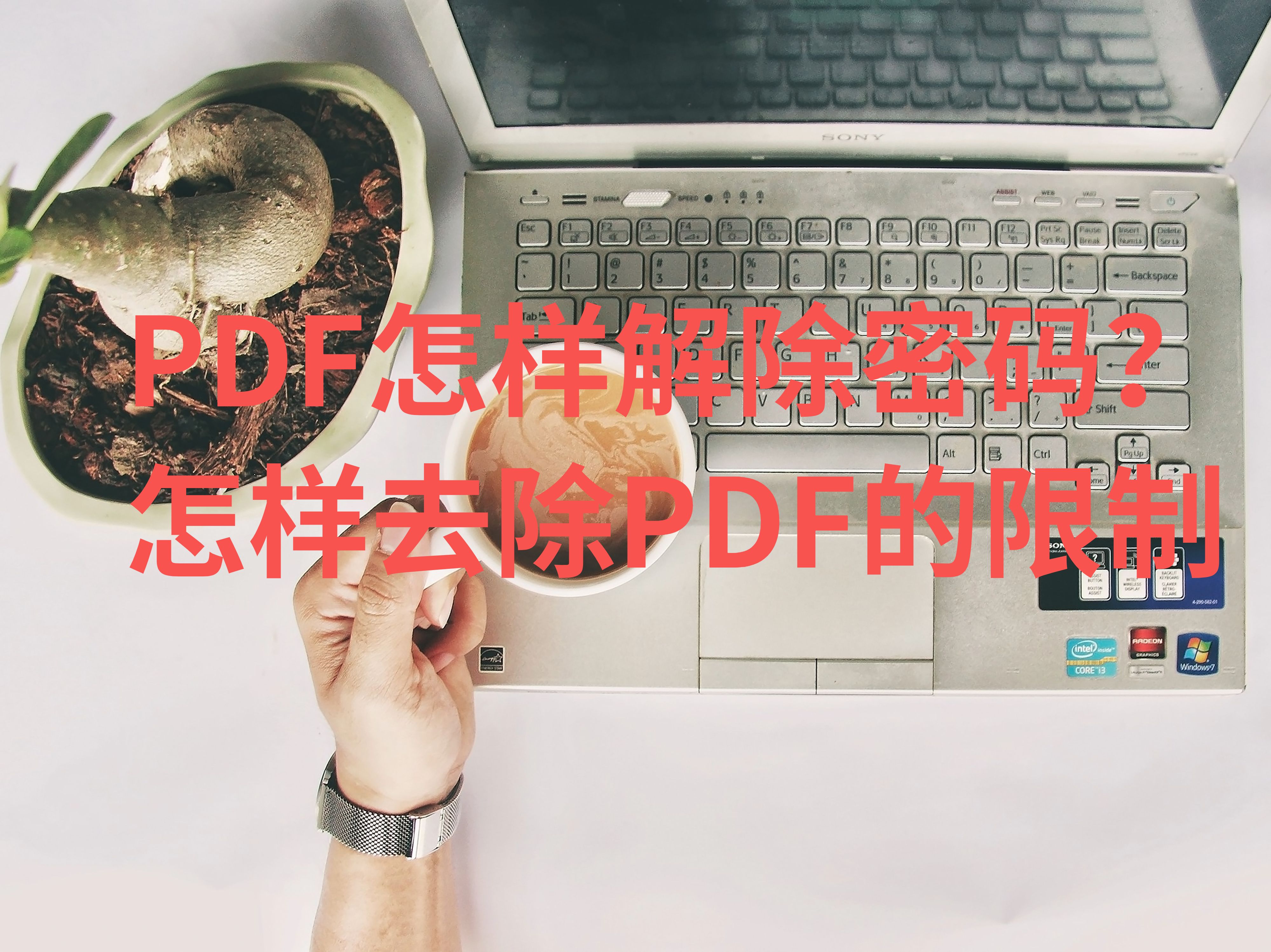 PDF怎樣解除密碼？怎樣去除PDF的限制