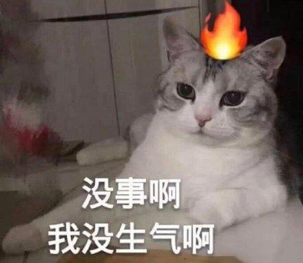 表達不開心的表情包|我真的好難受
