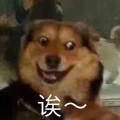 微信更新，煩死人的微信群問題解決了，還能立“遺囑”