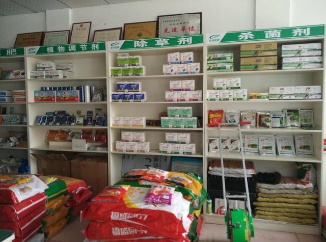 農村做什么生意賺錢 這七個投資小項目必看