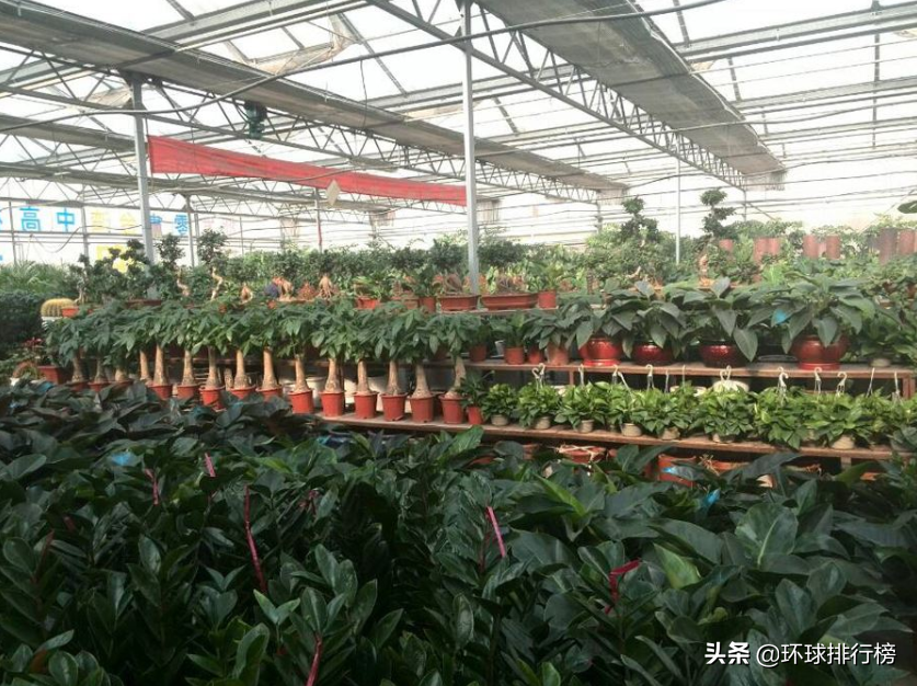 門檻低普通人都能從事的 十個冷門又掙錢行業