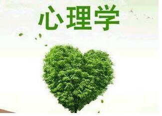 十大掙錢行業，好項目不等人