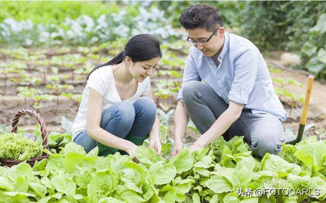 2020年8個冷門項目，利潤很嚇人的，幾千塊錢就可以起步